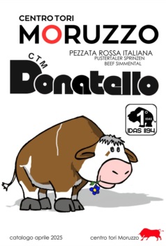  Bulls