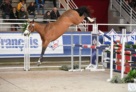 CANDY_Highland_de_Riverland_3 