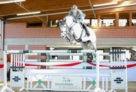 Diacontinus stallion sho 