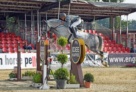 Diacontinus Stallion 