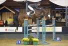 Etoulon-VDL-jur-vrieling-2016 