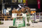 Etoulon-VDL-KWPN-hengstenkeuring-2017 