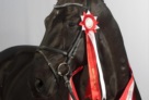 FavoritAsk2010 
