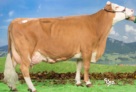 IT030990173105-Pecile Michele RAU_MadreRiul 