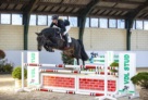 Landino 