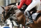 marco_kutscher_and_numero_uno_in_munster_germany 