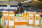Vrieling-J-Etoulon-VDL-ERME14L1509 