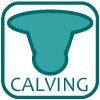 Calving